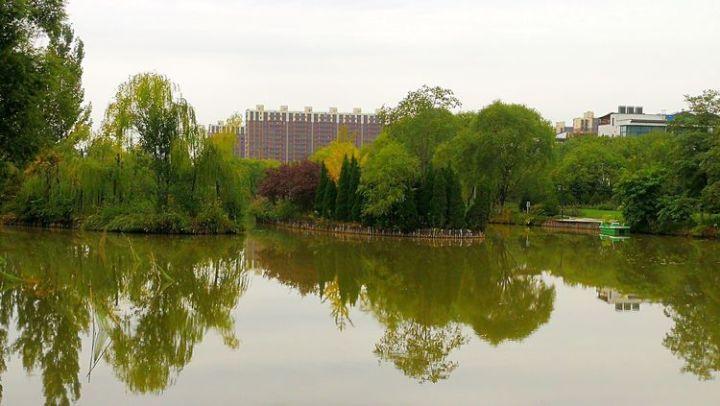 舞蹈学院